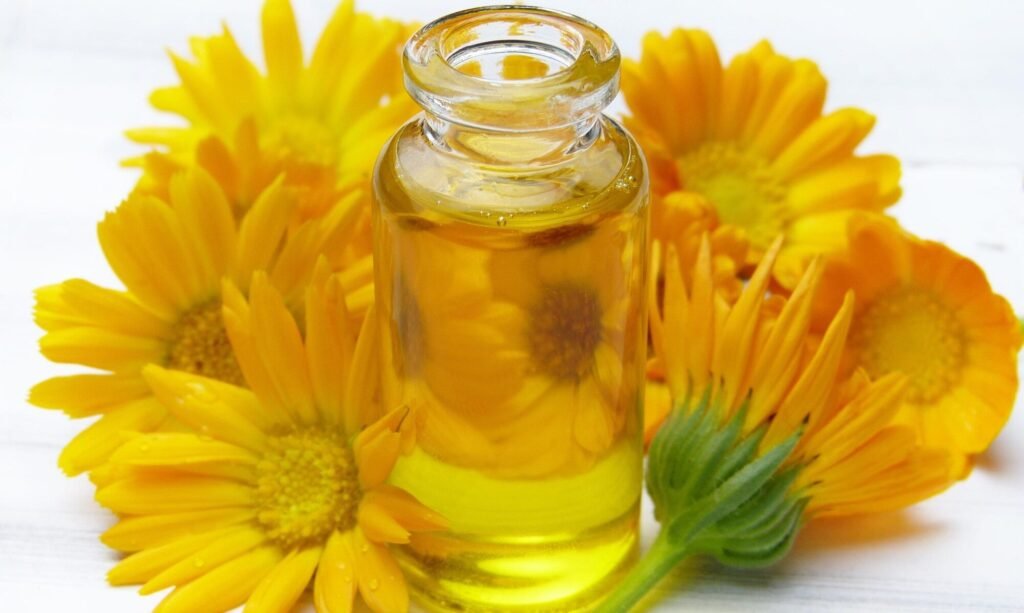 silviarita oil 4369051 1920